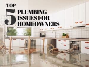 Top 5 plumbing issues for homeowners